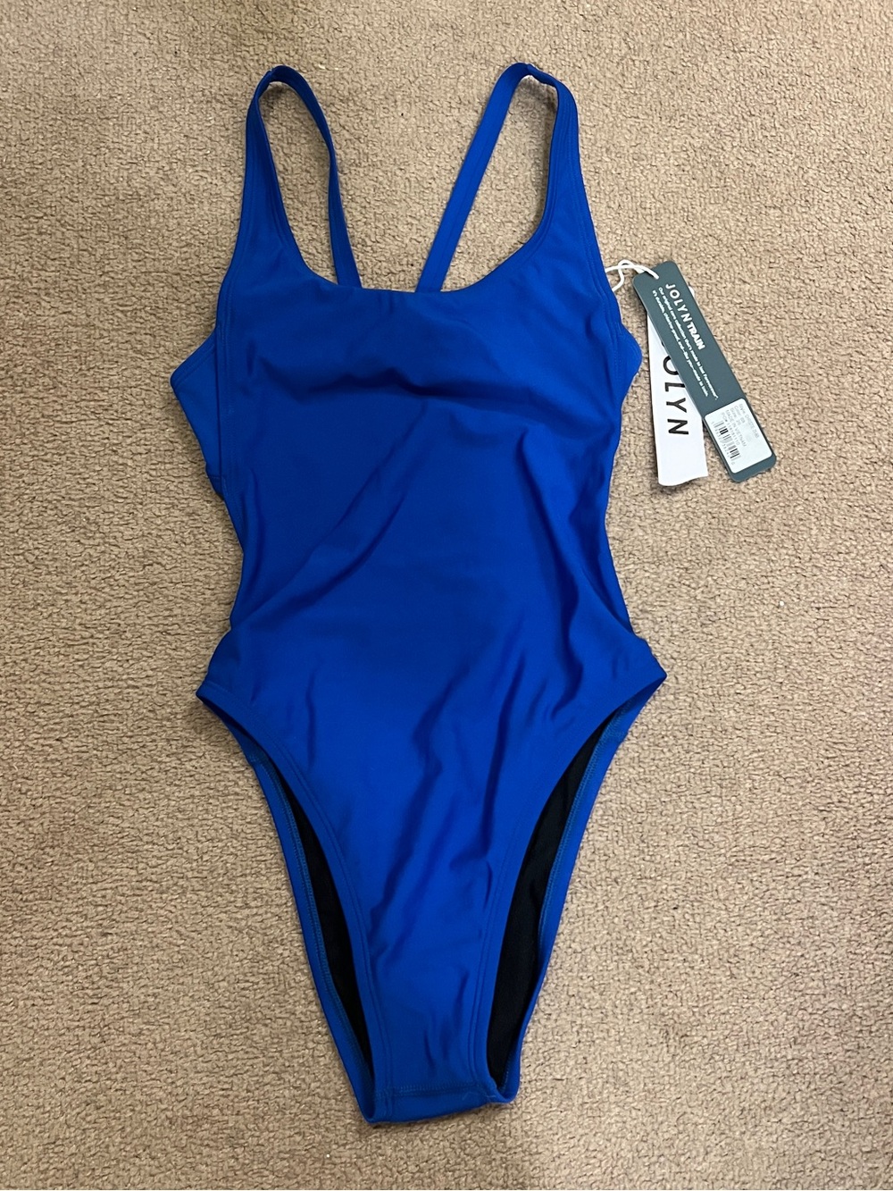 Jolyn Blueberry Christie One Piece Swimsuit